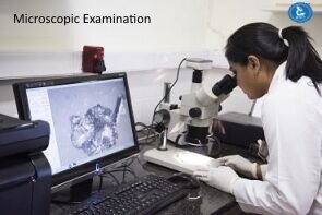 microscopy